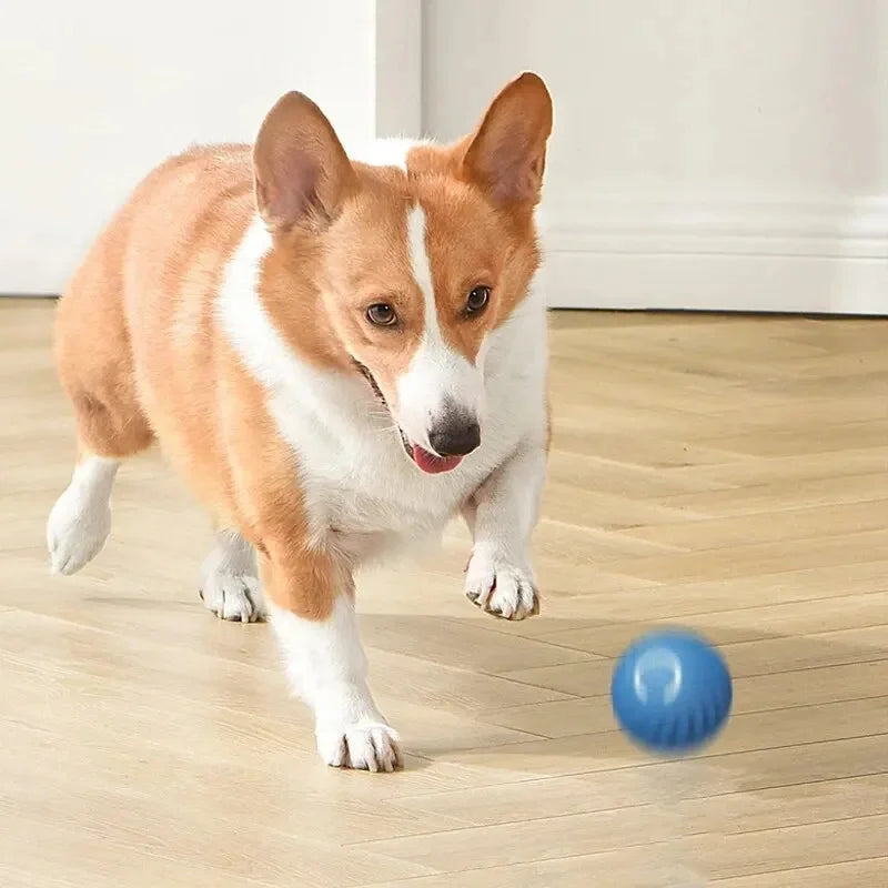 USB Rechargeable Interactive Smart Dog Ball