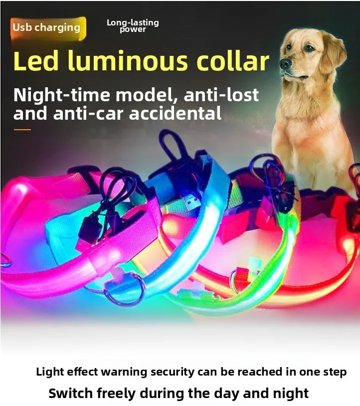 LED Nylon Dog Collar Night Safety Glow