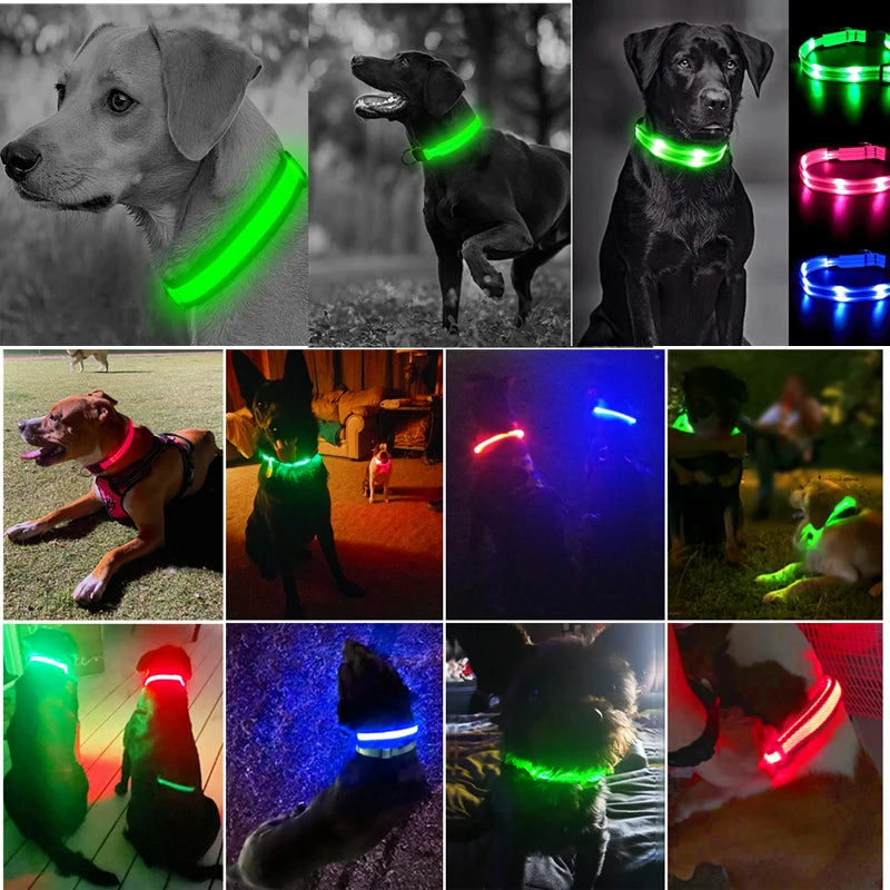 USB Rechargeable LED Pet Safety Collar
