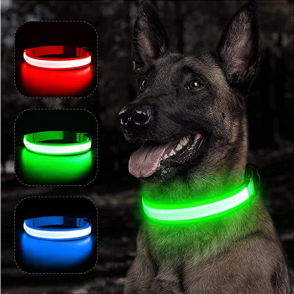 USB Rechargeable LED Pet Safety Collar