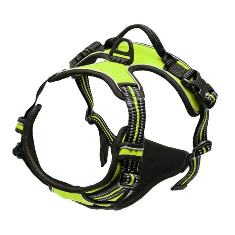 Dog Collar, Harness & Leash Set for Medium & Small Dogs