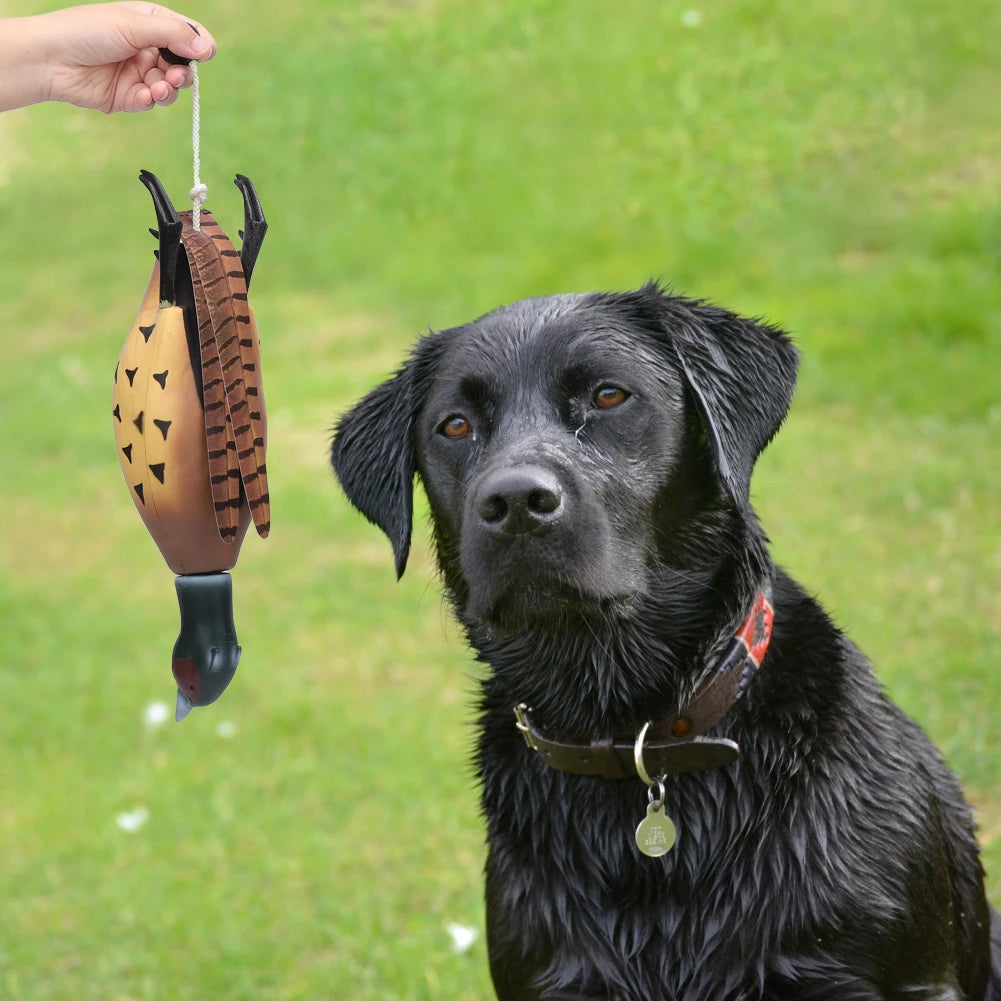 Multipurpose Dead Fowl Dog Training Toy