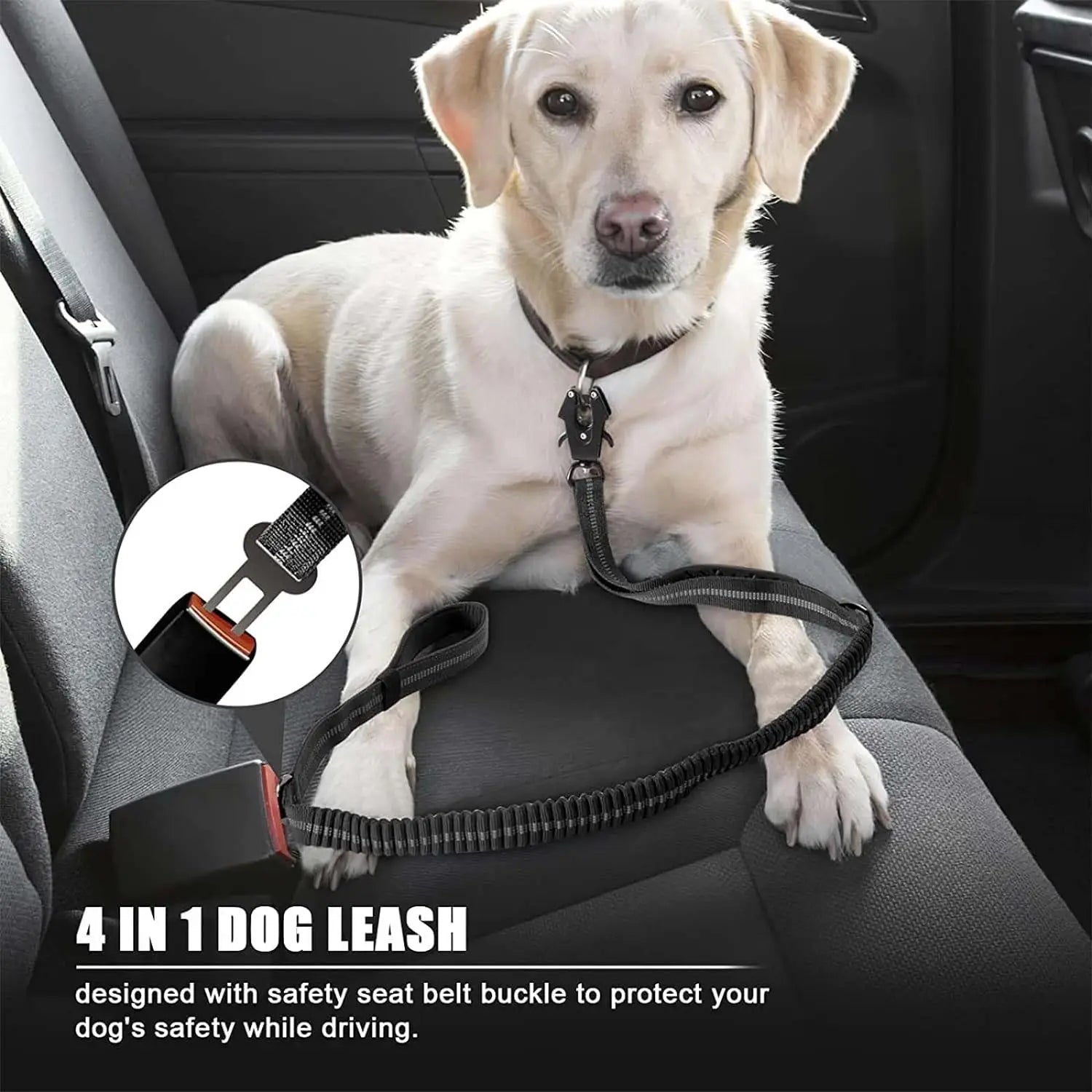 Reflective Shock-Absorbing Tactical Dog Leash
