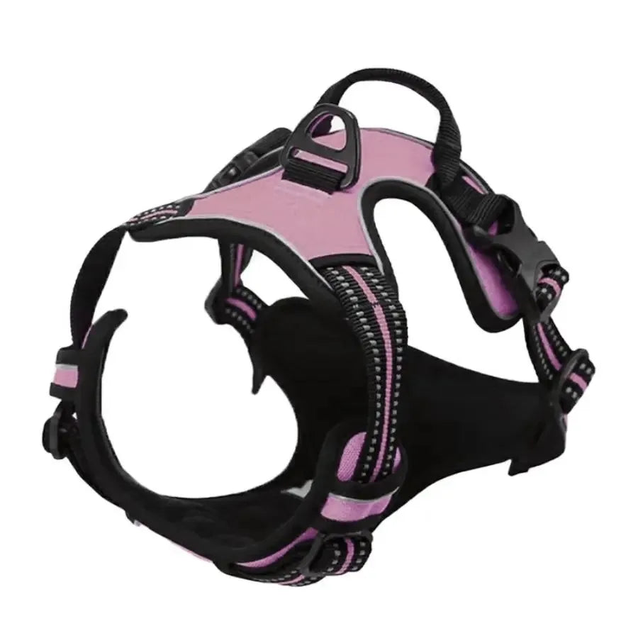 Dog Collar, Harness & Leash Set for Medium & Small Dogs
