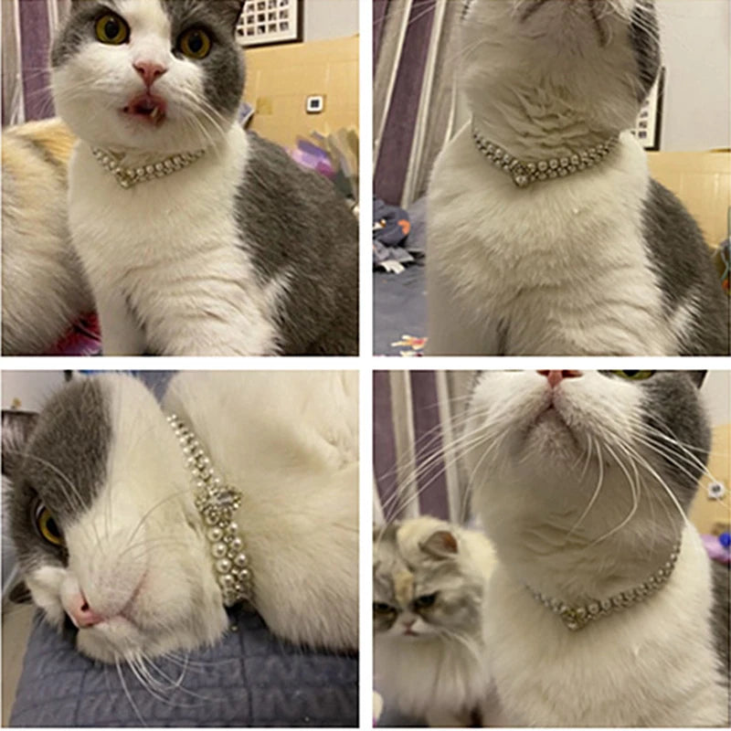 Luxury Pearl Rhinestone Cat & Puppy Necklace