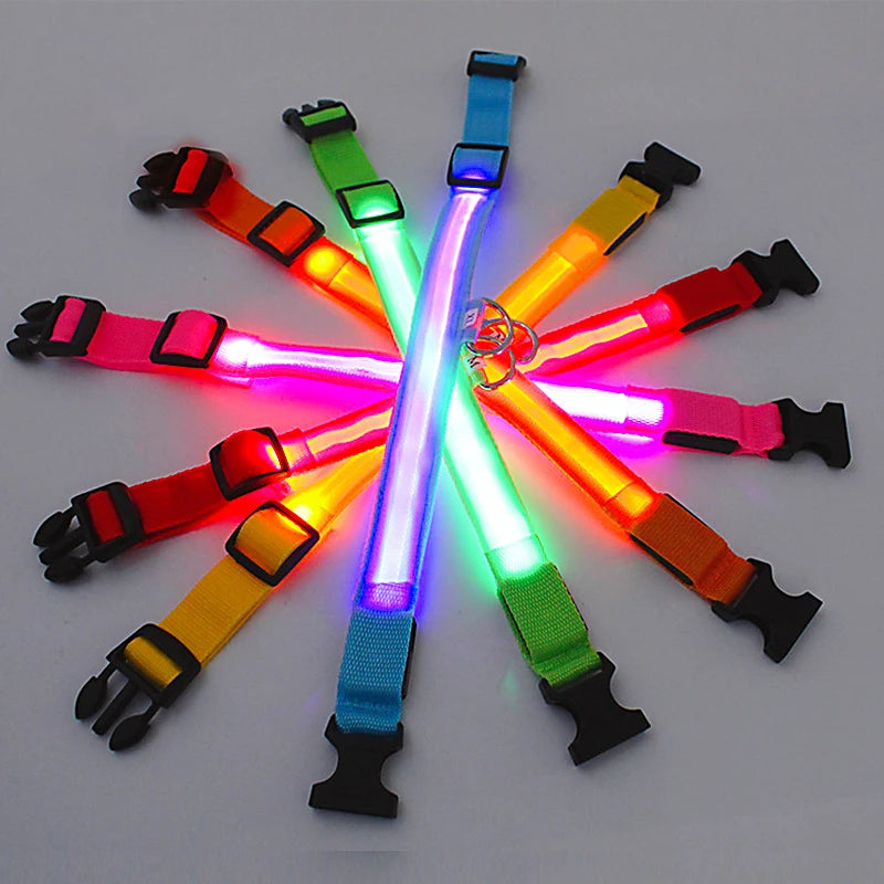 USB Rechargeable LED Pet Safety Collar