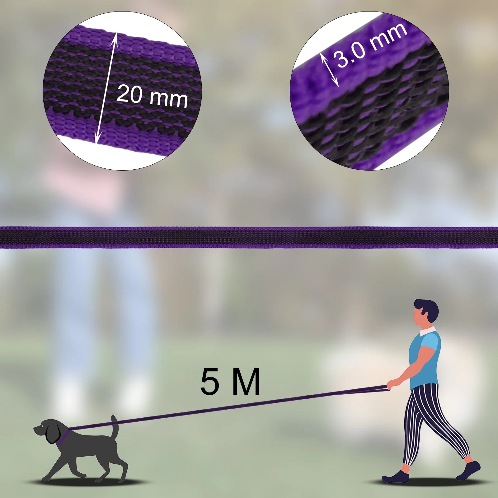 Dual-Color Latex Silk Dog Leash – Multiple Lengths