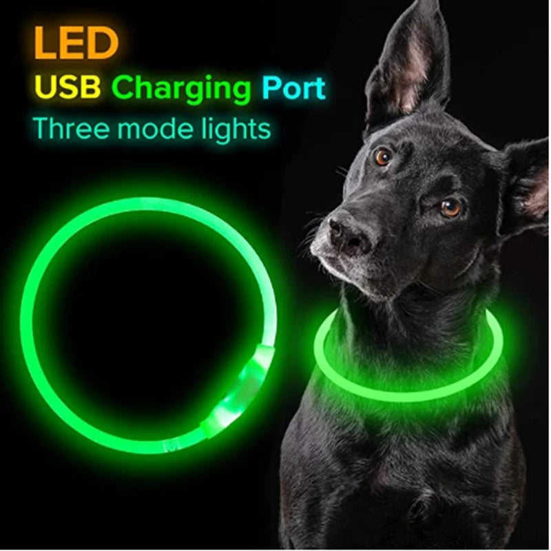 LED Rechargeable Glowing Pet Collar