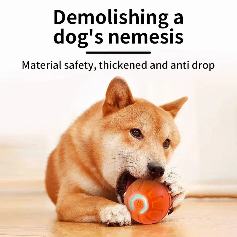 USB Rechargeable Interactive Smart Dog Ball