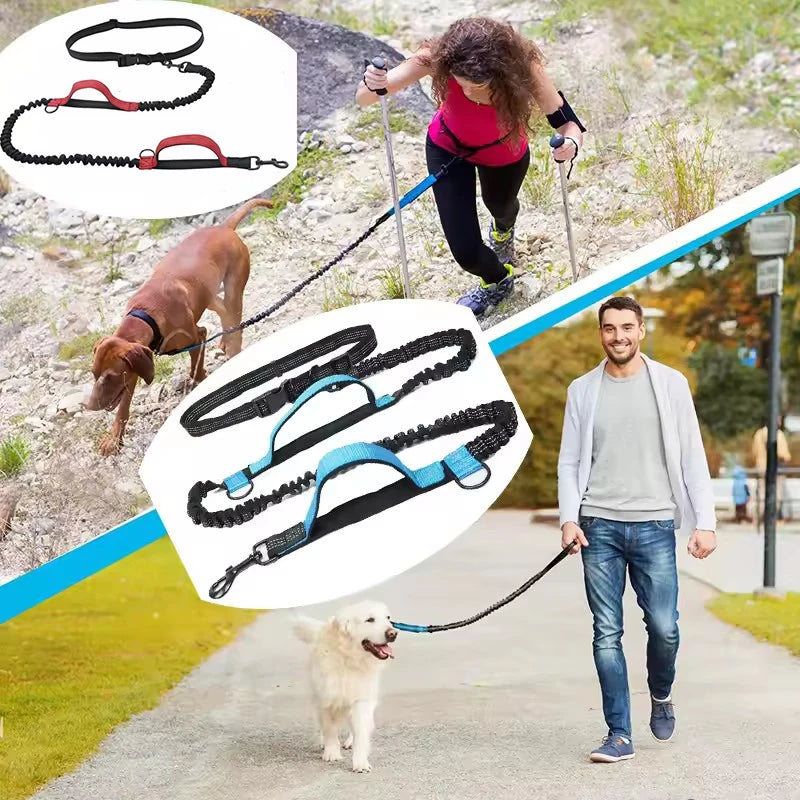 Outdoor Dual Elastic Reflective Dog Leash