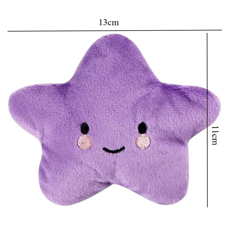 Plush Squeaky Pentagram Pet Toy
