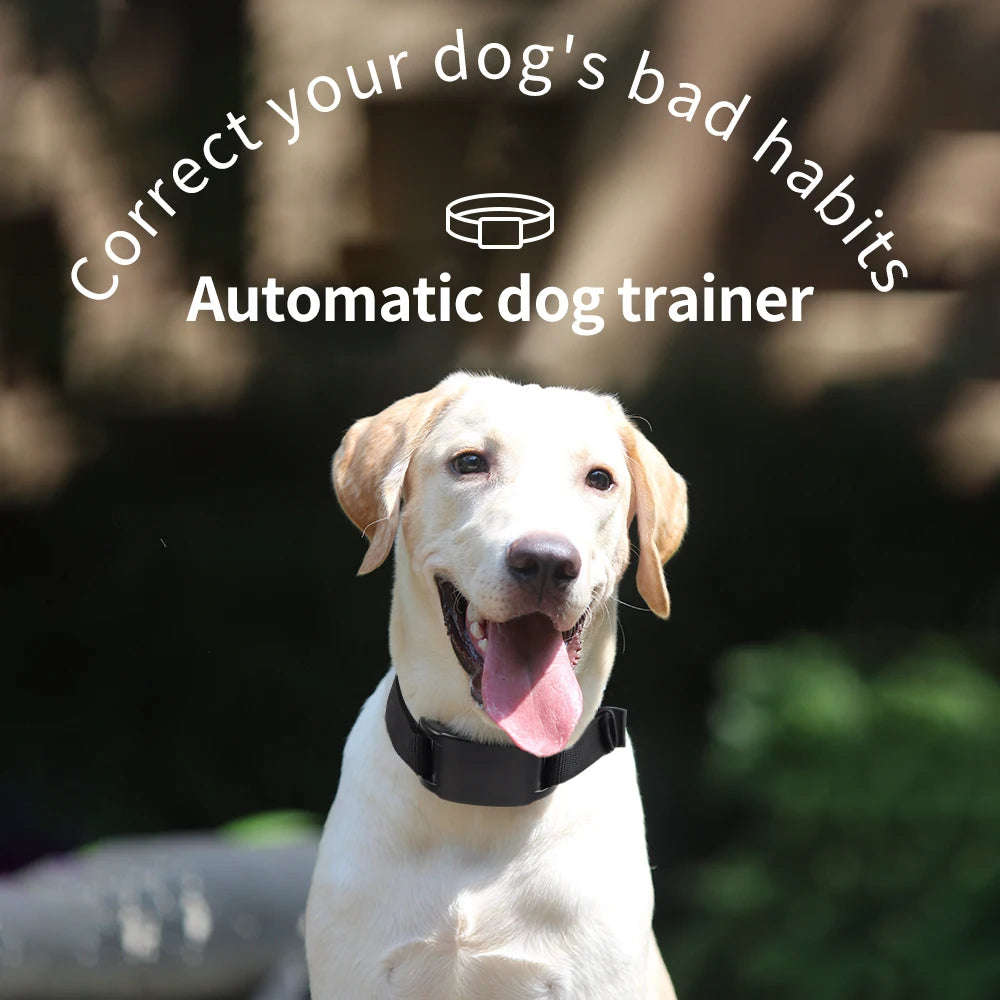 USB Rechargeable Auto Anti-Bark Dog Collar  Brief Product Description (Bullet Points):