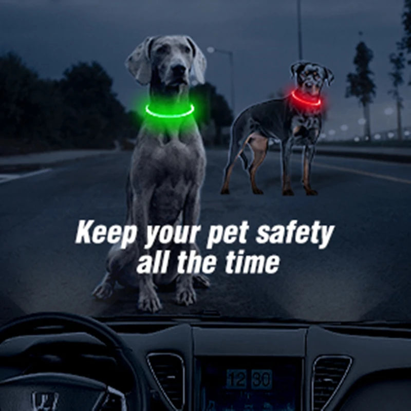 LED Rechargeable Glowing Pet Collar