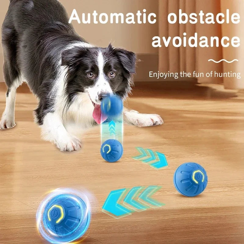 USB Rechargeable Interactive Smart Dog Ball