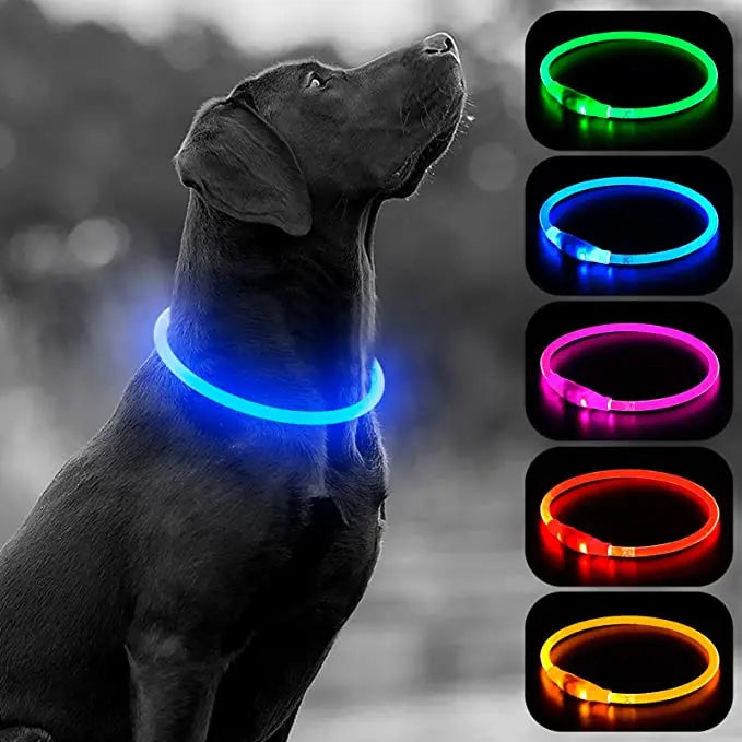 LED Rechargeable Glowing Pet Collar
