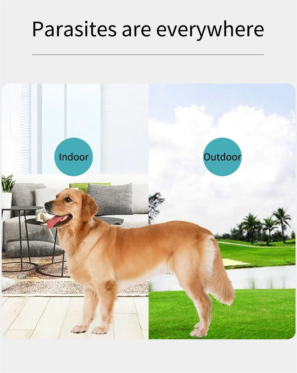 120ML Pet Flea & Tick Repellent Drops