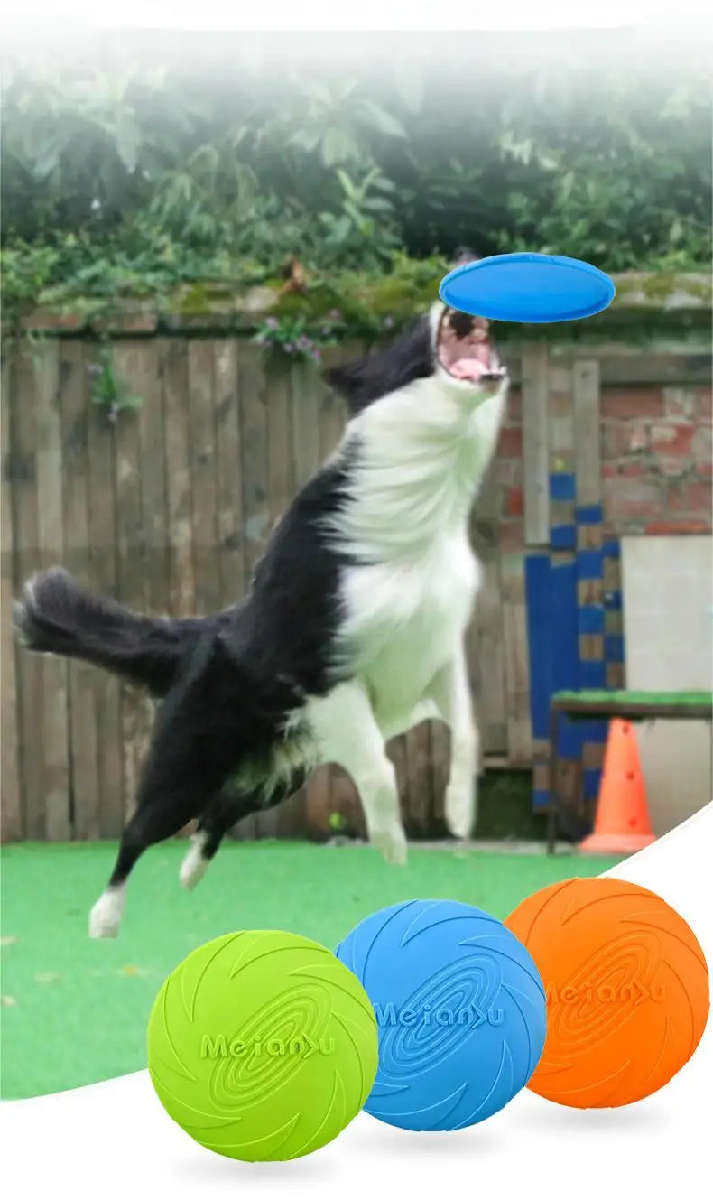 Bite-Resistant Dog Flying Disc Toy