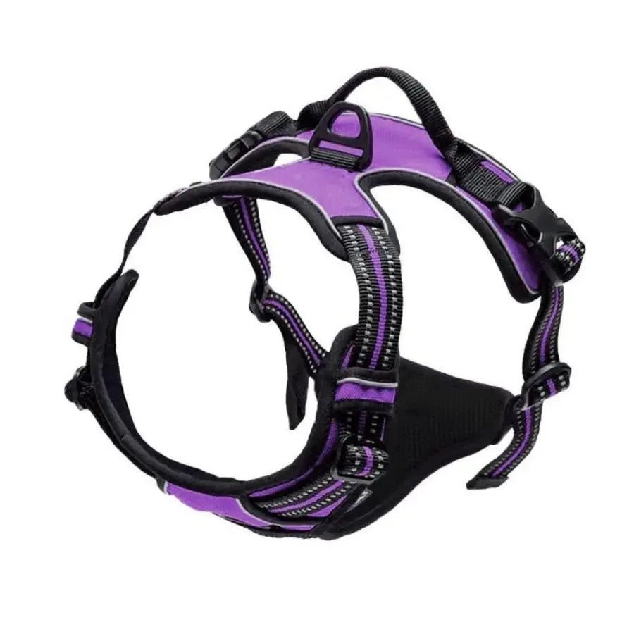 Dog Collar, Harness & Leash Set for Medium & Small Dogs
