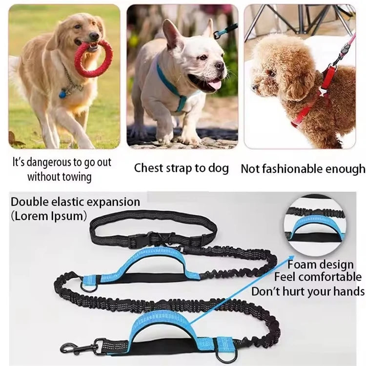 Outdoor Dual Elastic Reflective Dog Leash