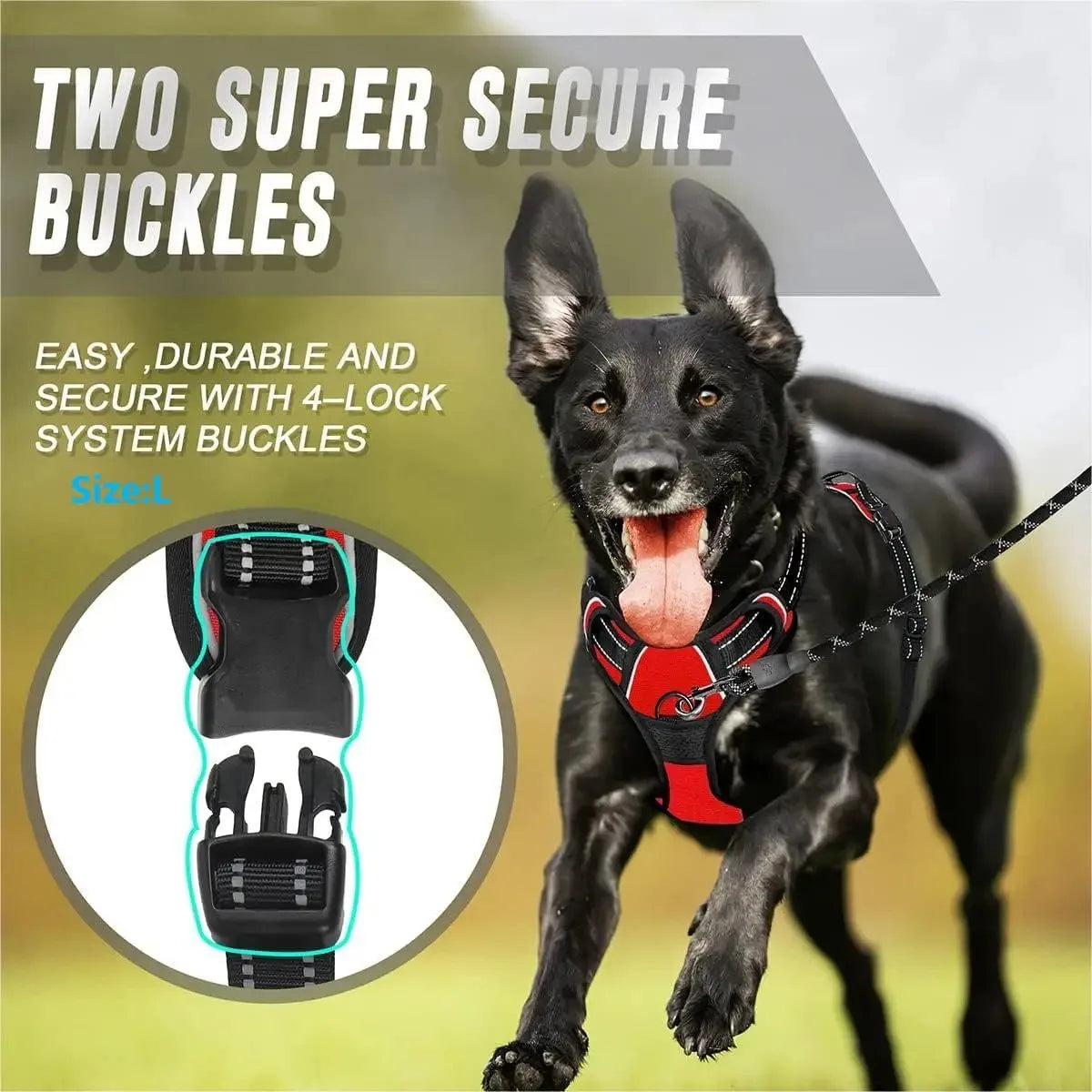 Dog Collar, Harness & Leash Set for Medium & Small Dogs