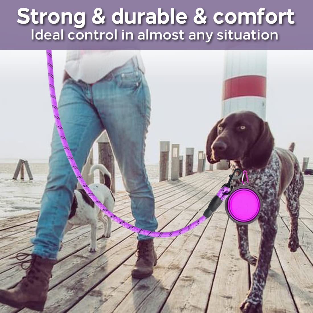 Strong Reflective Dog Leash for All Sizes