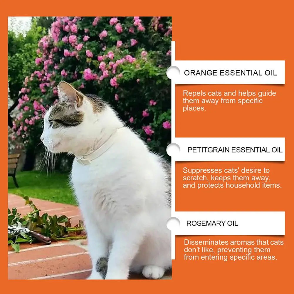 100ML Cat Repellent Anti-Scratch Spray