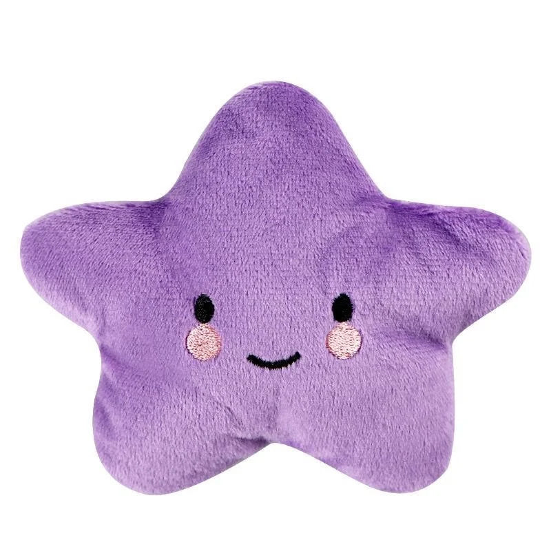 Plush Squeaky Pentagram Pet Toy