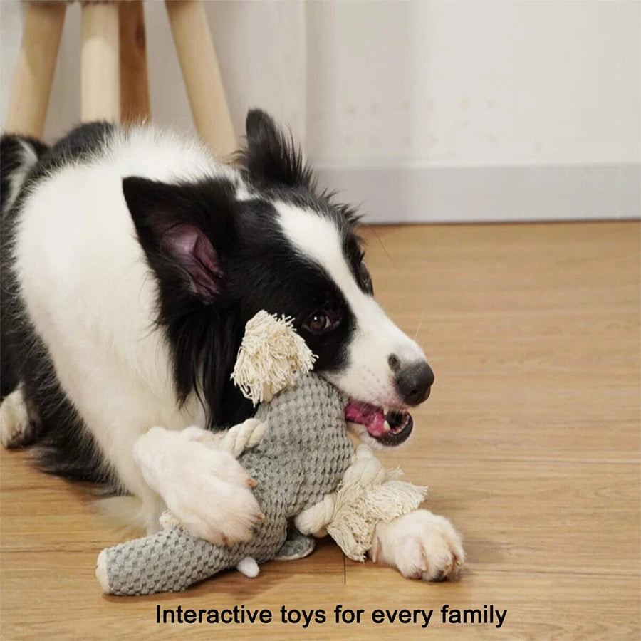 Bite-Resistant Plush Squeaky Dog Toy – Animal Design