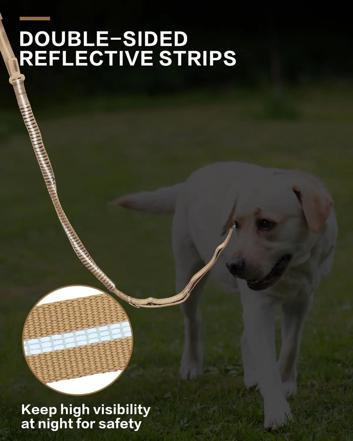 Reflective Shock-Absorbing Tactical Dog Leash