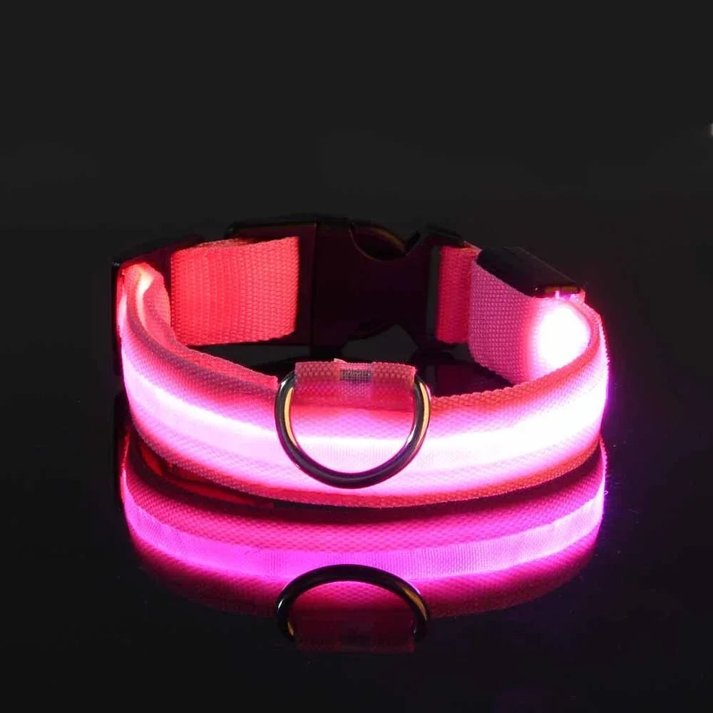 LED Nylon Dog Collar Night Safety Glow