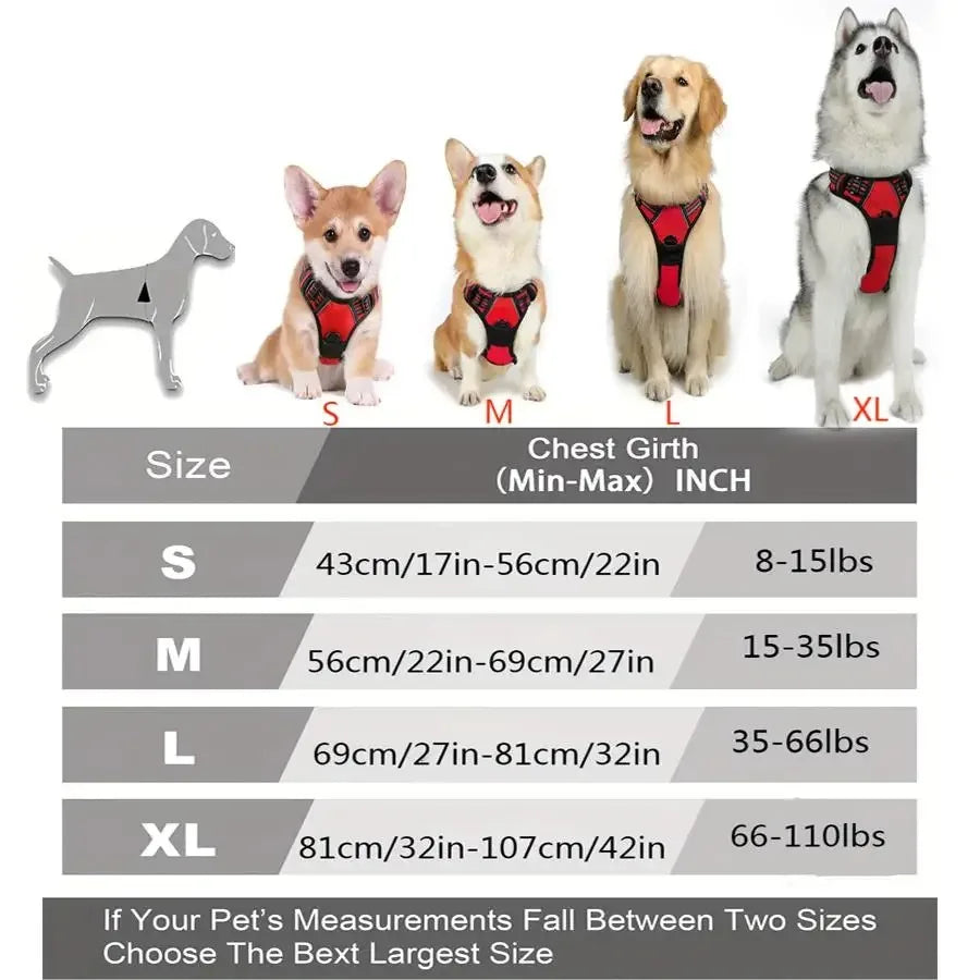 Dog Collar, Harness & Leash Set for Medium & Small Dogs