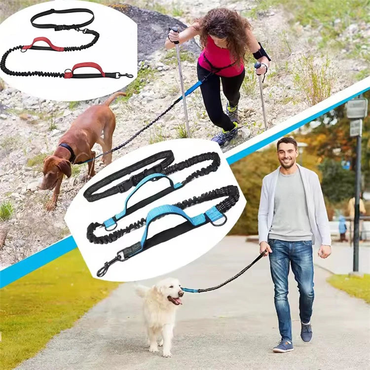 Outdoor Dual Elastic Reflective Dog Leash