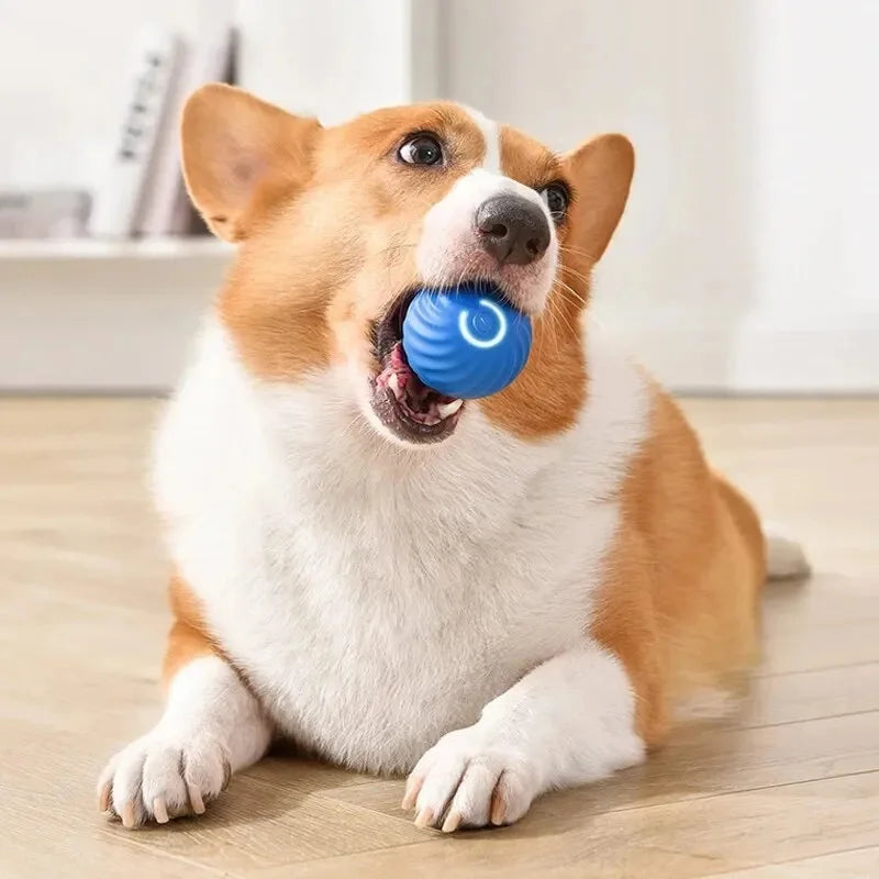USB Rechargeable Interactive Smart Dog Ball