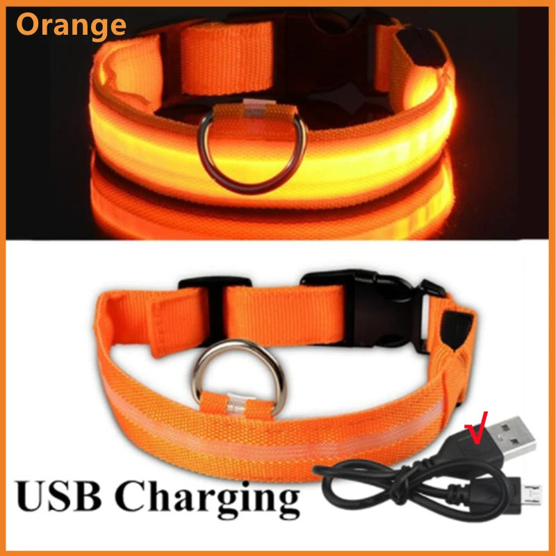 USB Rechargeable LED Pet Safety Collar