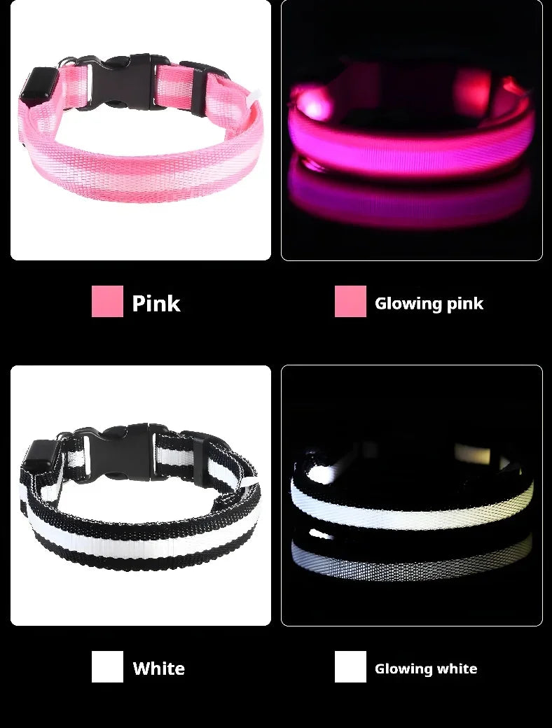 LED Nylon Dog Collar Night Safety Glow