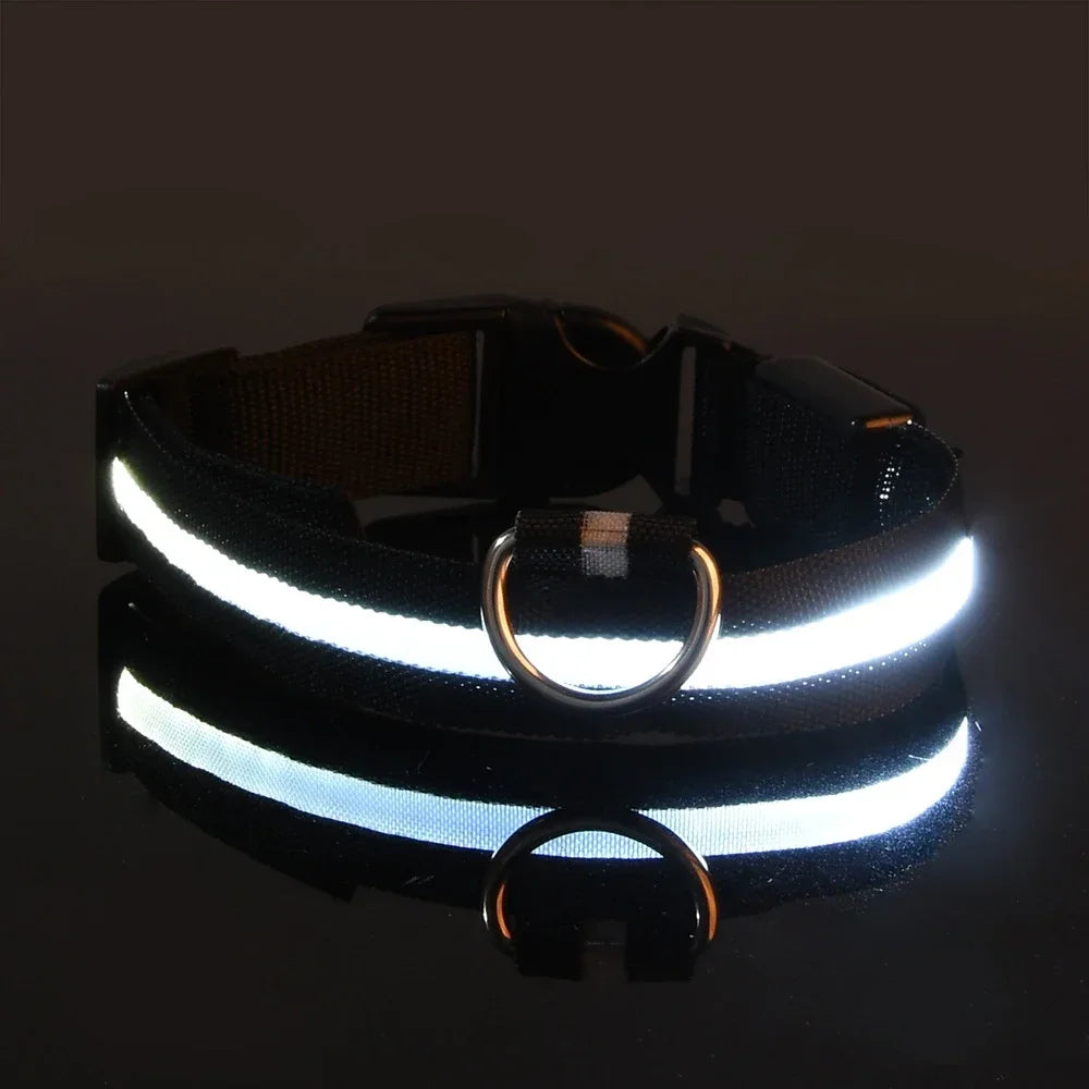 LED Nylon Dog Collar Night Safety Glow