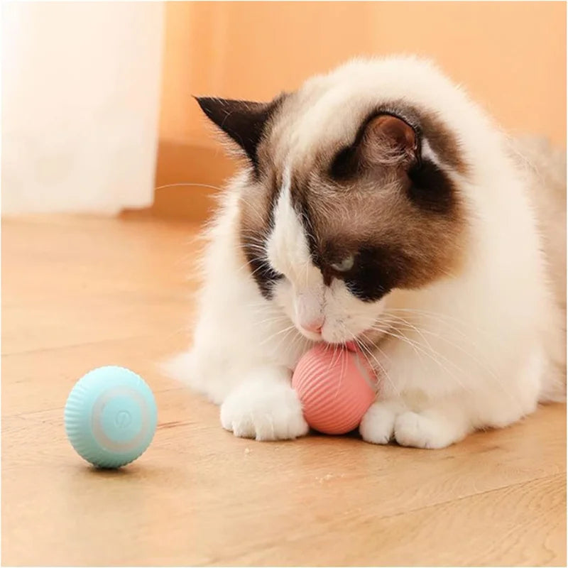 USB Rechargeable Interactive Smart Dog Ball