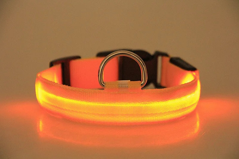 LED Nylon Dog Collar Night Safety Glow
