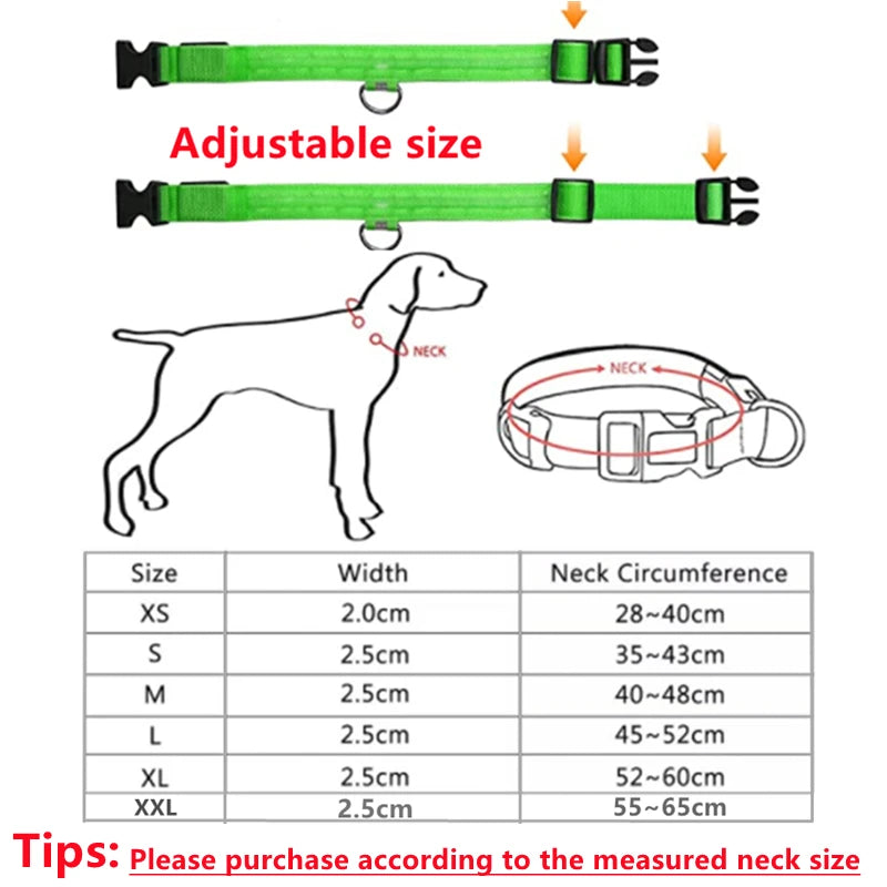 USB Rechargeable LED Pet Safety Collar