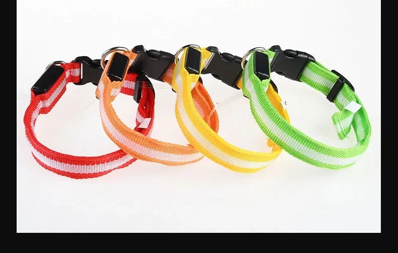 LED Nylon Dog Collar Night Safety Glow