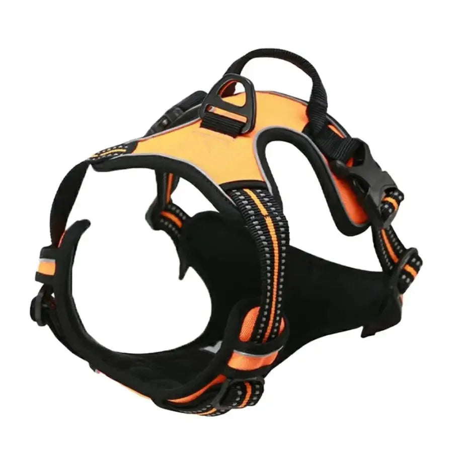 Dog Collar, Harness & Leash Set for Medium & Small Dogs