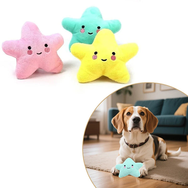 Plush Squeaky Pentagram Pet Toy