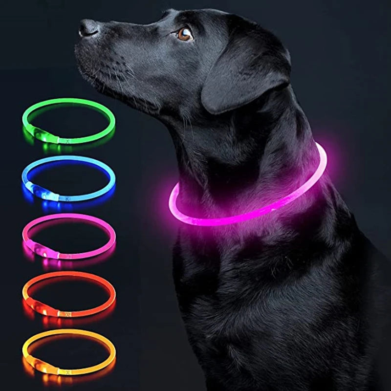LED Rechargeable Glowing Pet Collar