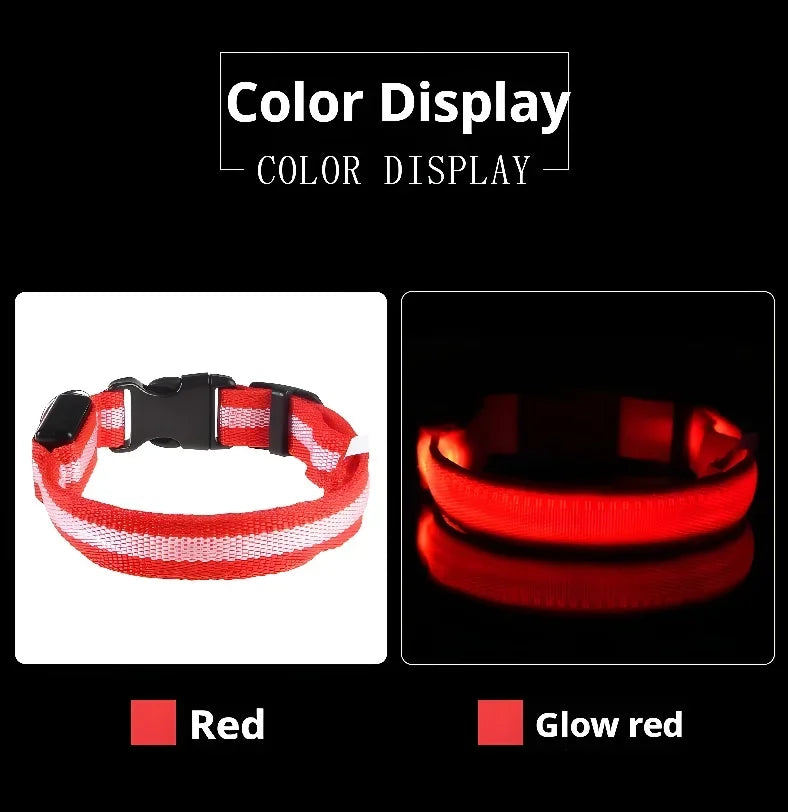 LED Nylon Dog Collar Night Safety Glow