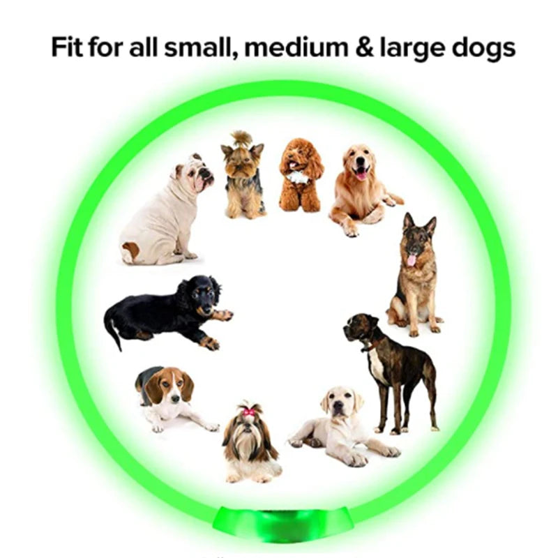 USB Rechargeable LED Pet Safety Collar