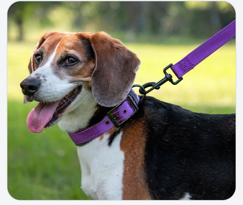 Padded Reflective Neoprene Dog Collar