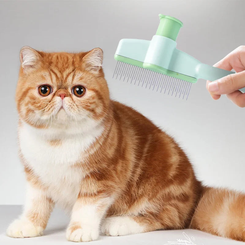 Professional Cat Grooming & Massage Brush