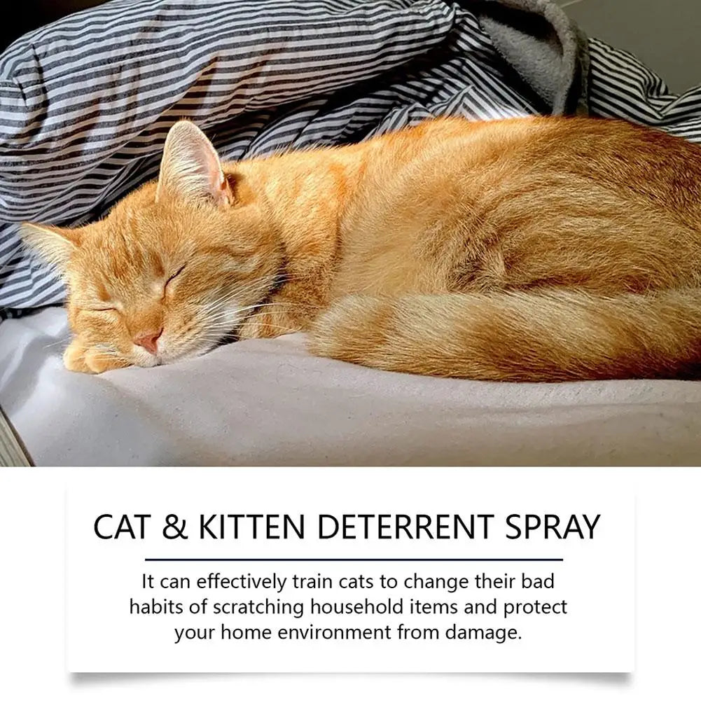 100ML Cat Repellent Anti-Scratch Spray