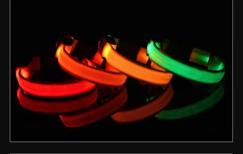 LED Nylon Dog Collar Night Safety Glow