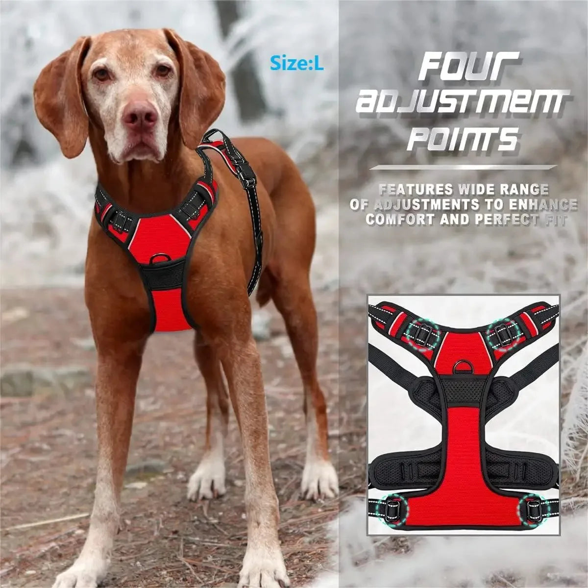 Dog Collar, Harness & Leash Set for Medium & Small Dogs